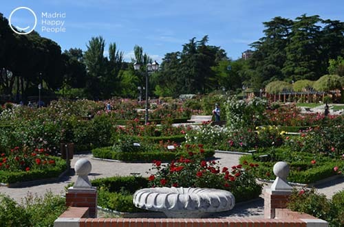 rosaledas madrid - rosaleda parque del oeste 