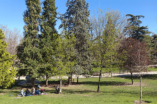 parque de Berlín en Madrid - parques en Madrid