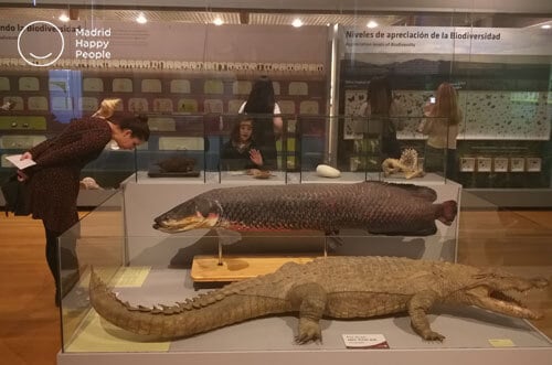 museo ciencias naturales madrid