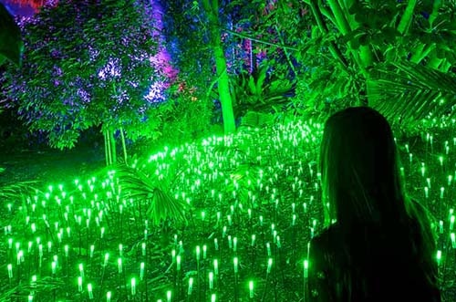 luces navidad real jardin botánico madrid - explorium - naturaleza encendida explorium