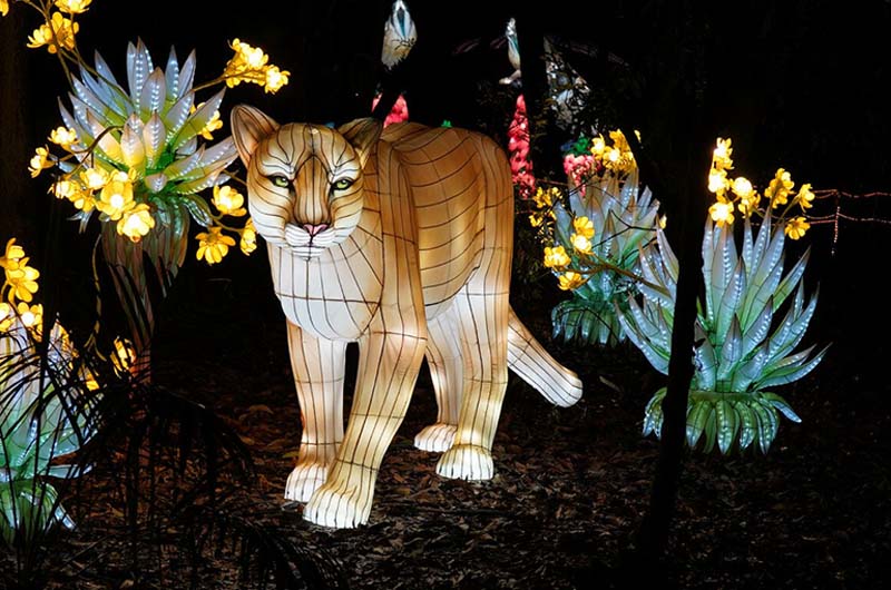 Brilla Madrid Zoo - zoo iluminado madrid - animales de luz madrid - planes de navidad madrid