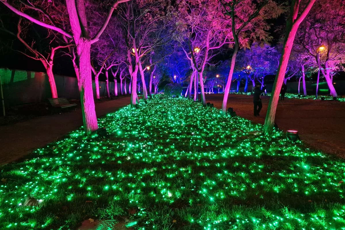 naturaleza encendida madrid - luces jardín botánico - luces parque tierno galván