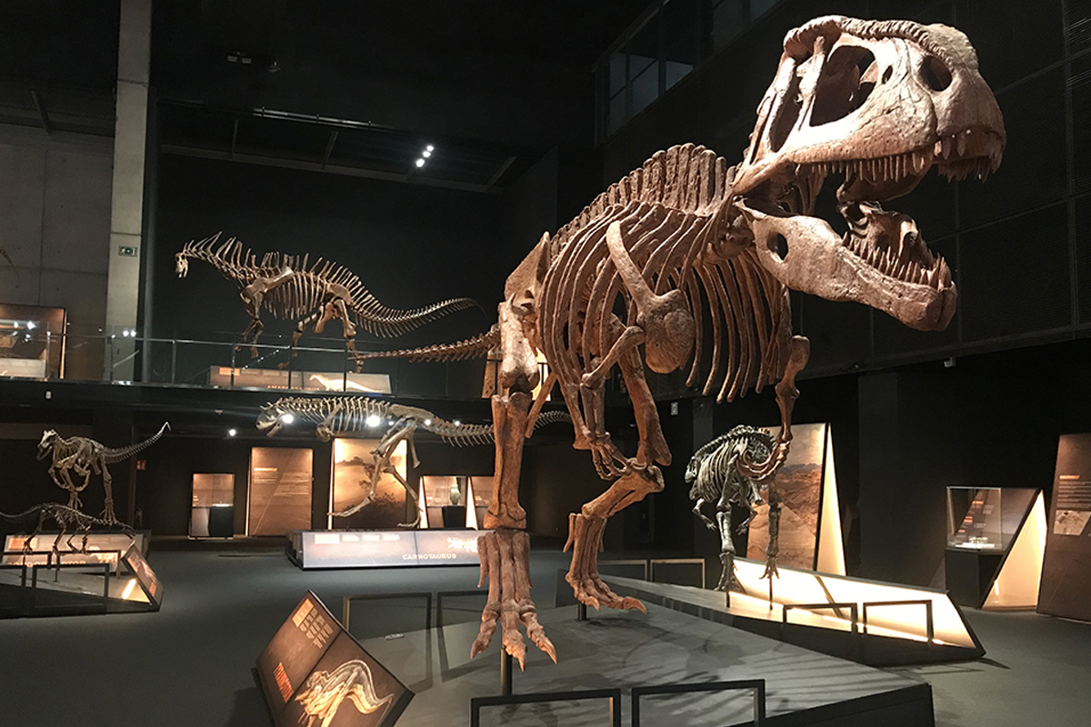 exposición Dinosaurios de la Patagonia - exposiciones madrid 2024
