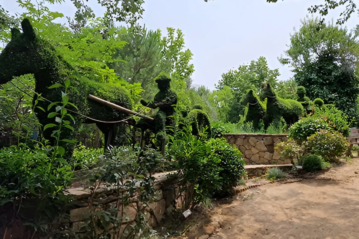 el bosque encantado - san martín de valdeiglesias