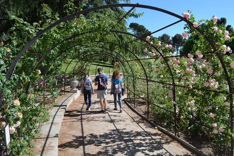 rosaleda parque del oeste - rosaleda madrid - parques madrid