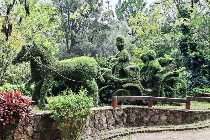 el bosque encantado