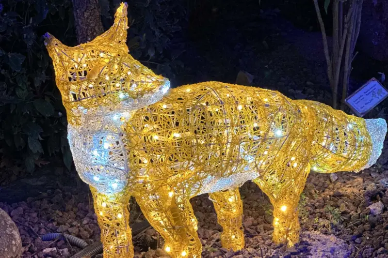 cómo llegar al bosque encantado