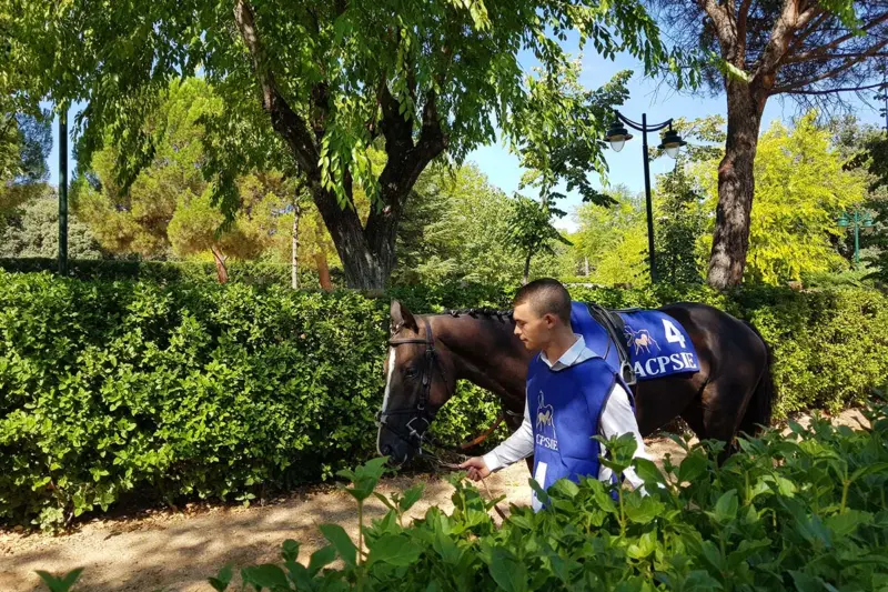 hipódromo Madrid