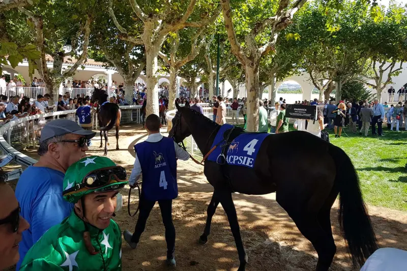 hipódromo de la zarzuela
