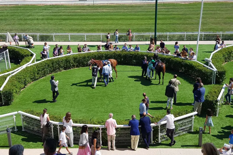 hipódromo Madrid