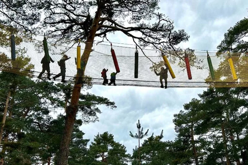 parque de aventura De Pino a Pino