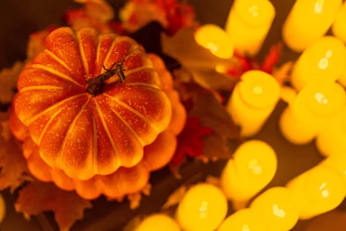 candlelight madrid - candlelight Halloween