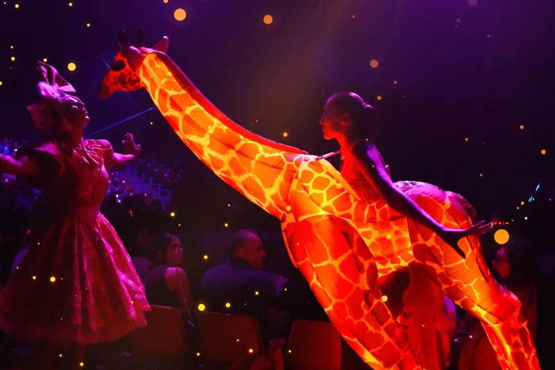 El circo de la luz - Circo Alegría