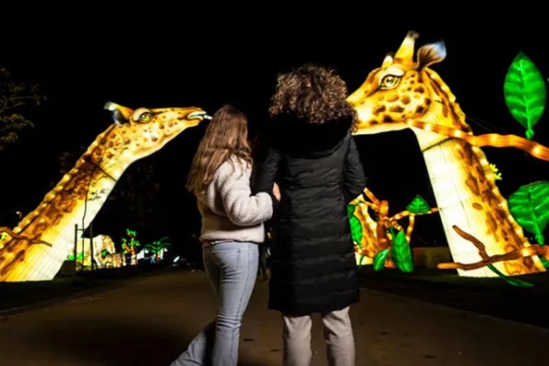 Brilla Zoo - Navidad Getafe