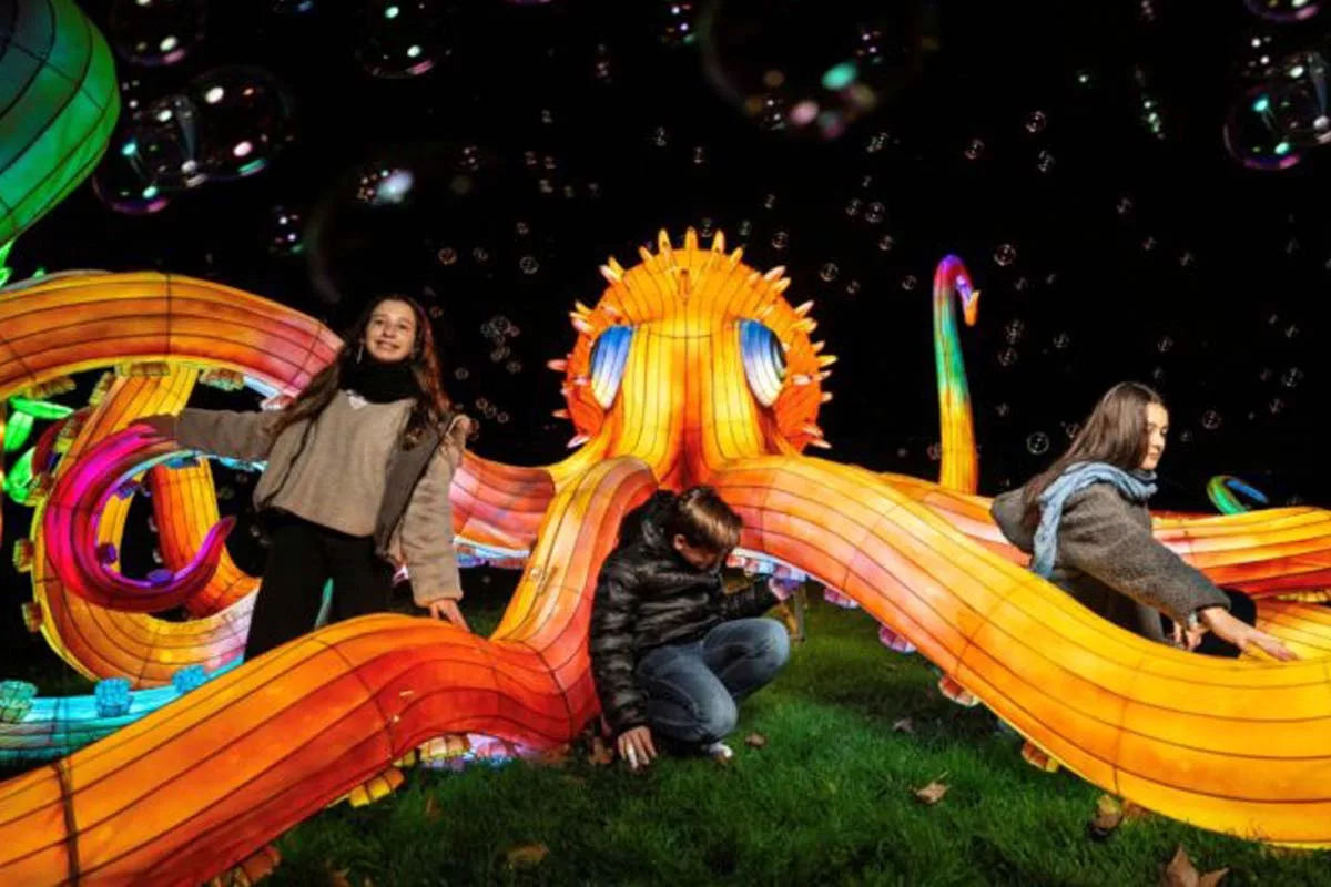 navidad getafe - brilla zoo