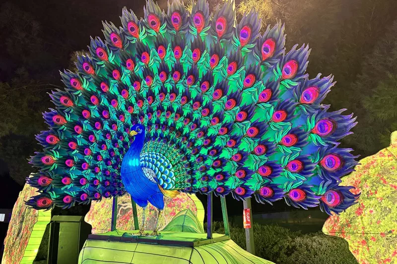 Brilla Zoo - Brilla Zoo Getafe