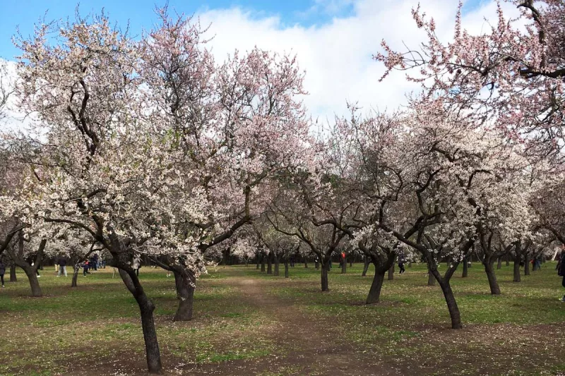quinta de los molinos