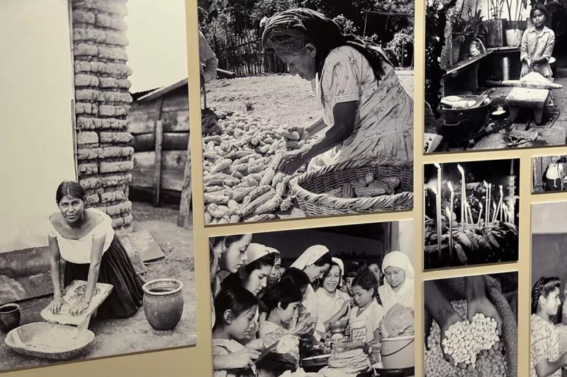 Exposición La mitad del mundo. La mujer en el México indígena