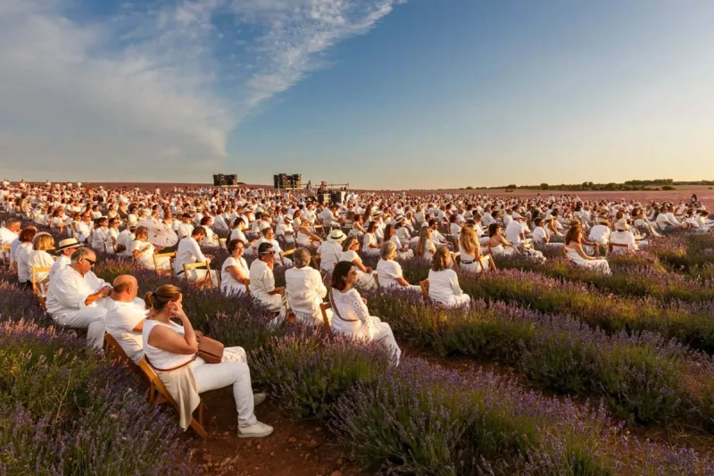 Festival de La Lavanda en Brihuega