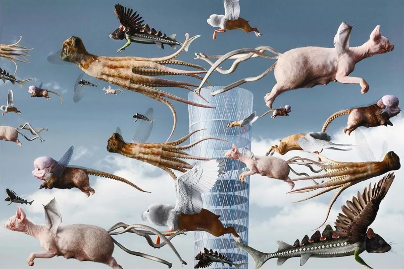 exposición a la manera del bosco madrid