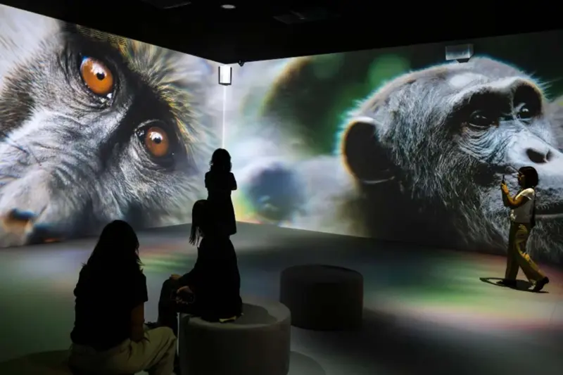 Qué es la exposición Somos Naturaleza CaixaForum Madrid