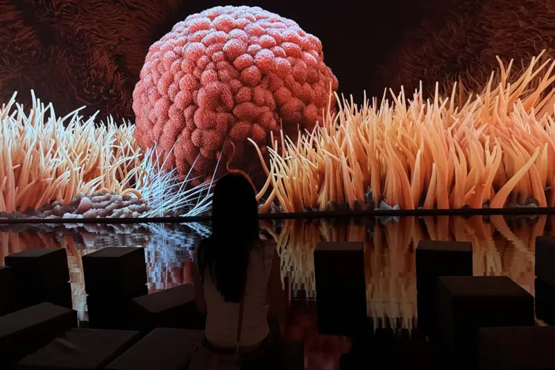 Cómo llegar a Human Universe