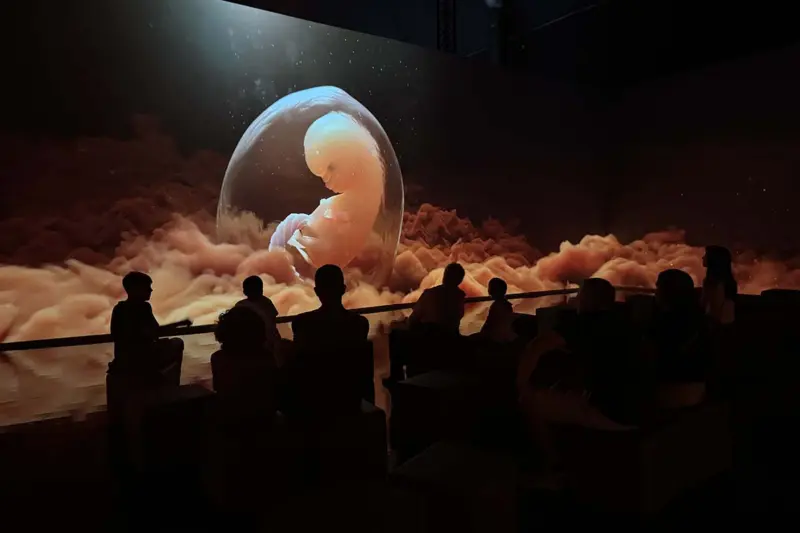 qué es Human Universe