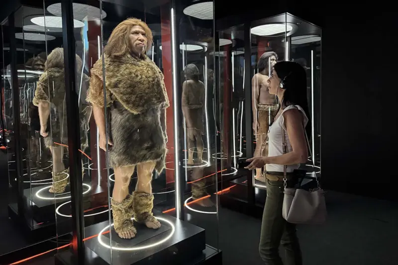 cuando puedo visitar Human Universe