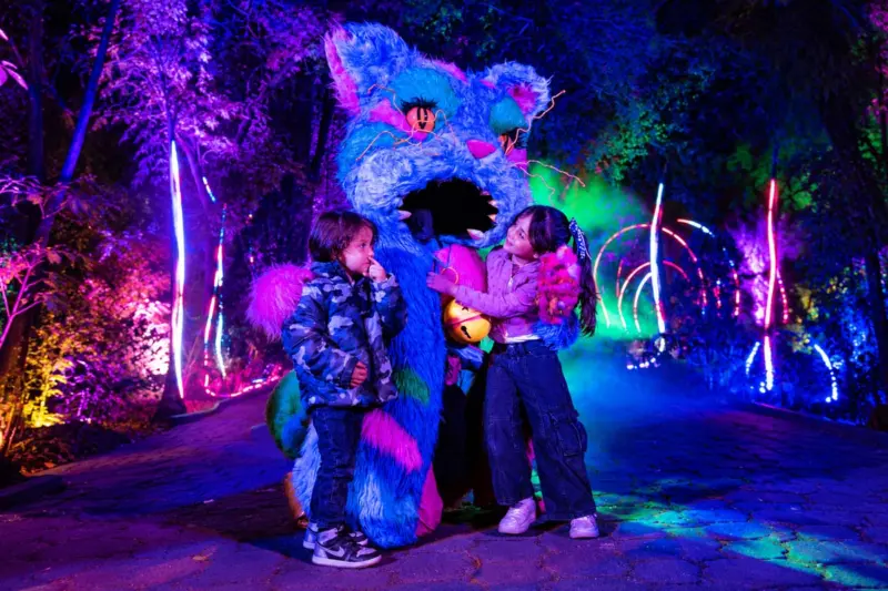 cómo llegar a las luces de Navidad del Jardín Botánico