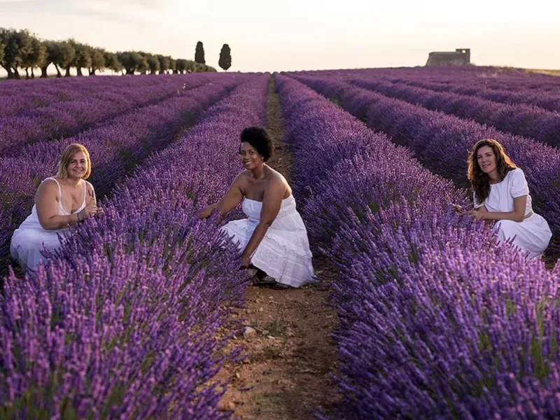 El festival de lavanda