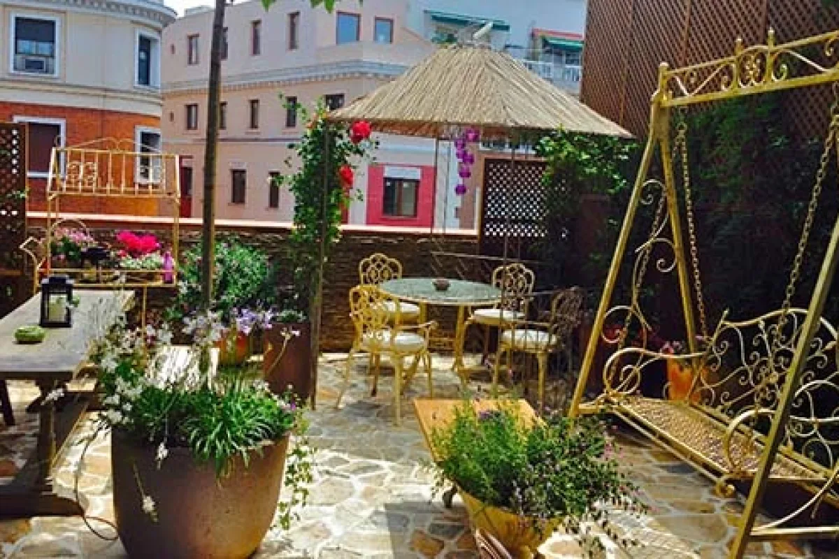 terraza salvador bachiller - jardín secreto salvador bachiller - terrazas en madrid