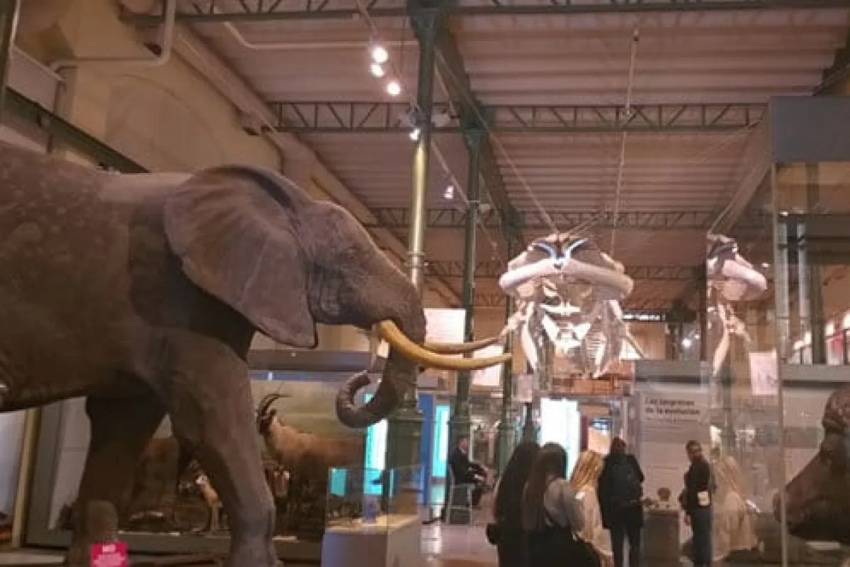 Museo de Ciencias Naturales