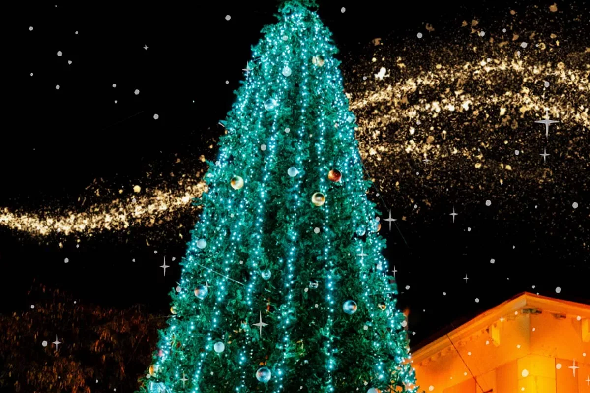 Navidad San Fernando de Henares