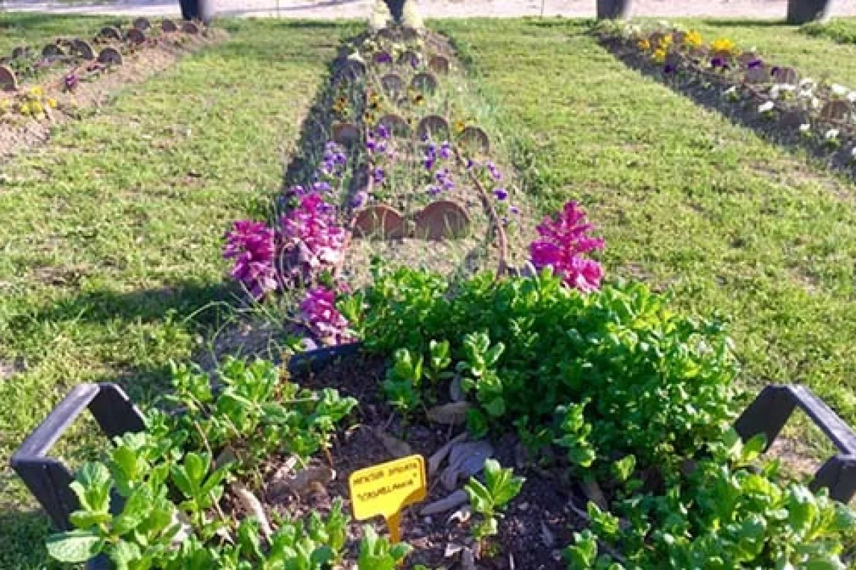 parque la quinta de torre arias - parques en madrid