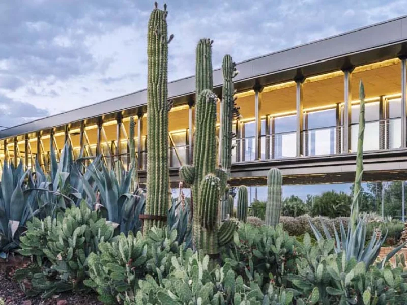 desert city - jardines madrid