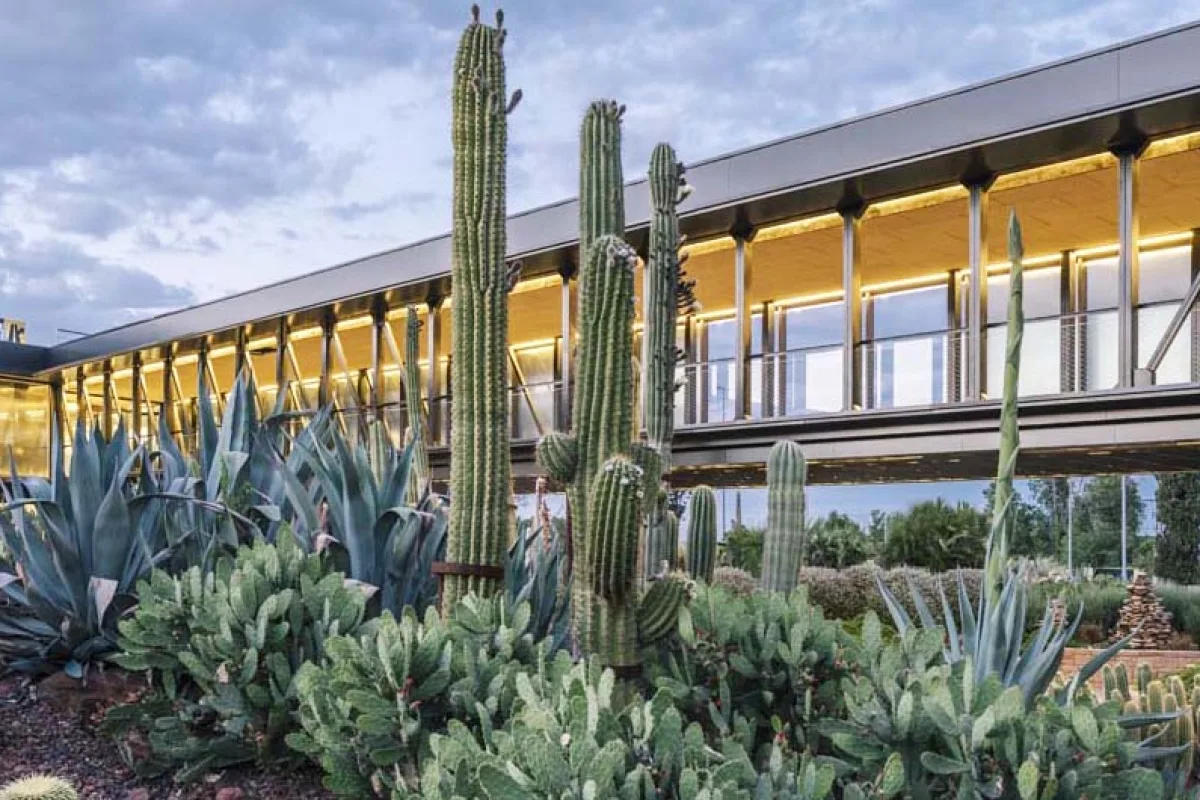 desert city - jardines madrid
