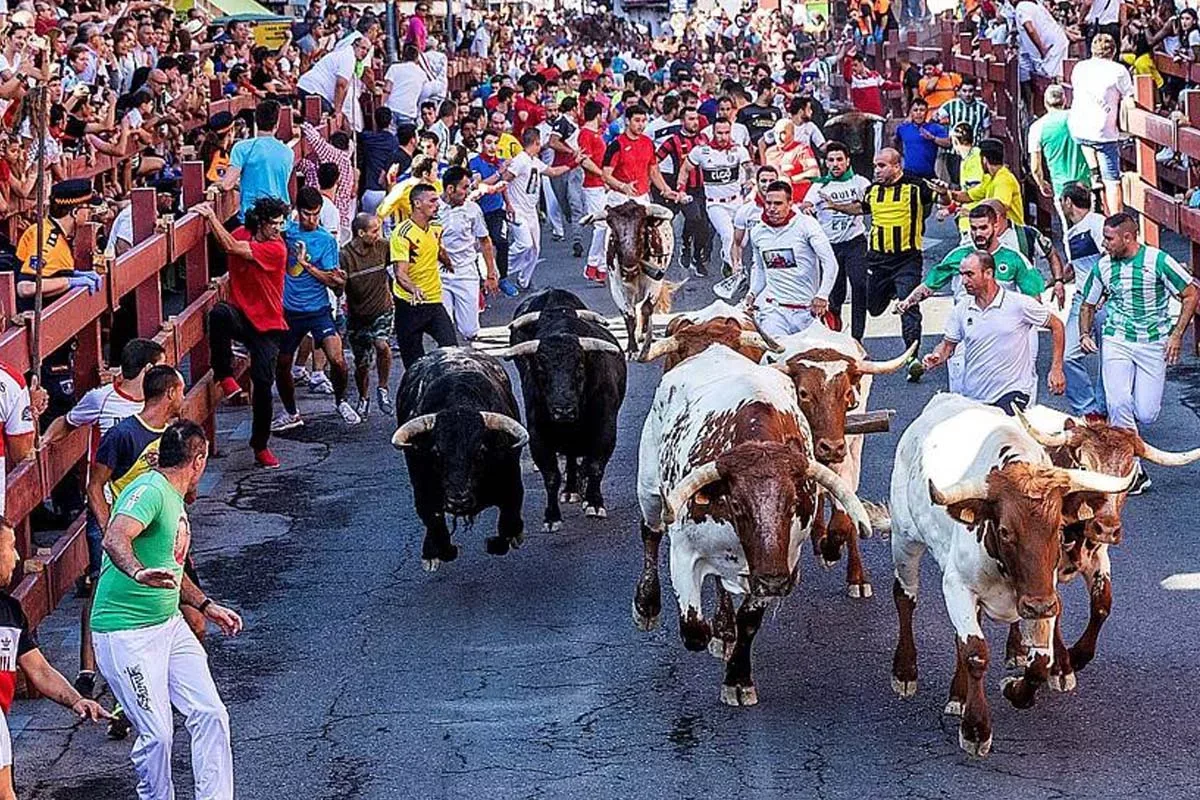 fiestas de sanse - fiestas san sebastián de los reyes madrid
