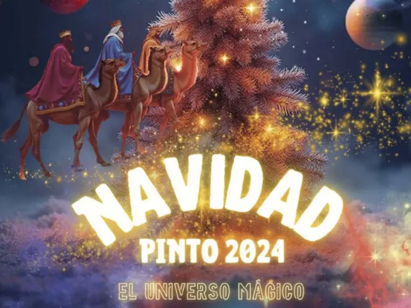 navidad pinto